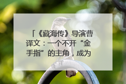 《藏海传》导演曹译文：一个不开“金手指”的主角，成为苍生守护者