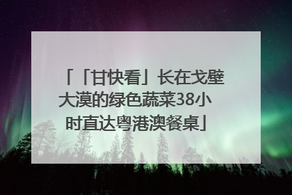 「甘快看」长在戈壁大漠的绿色蔬菜38小时直达粤港澳餐桌