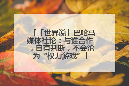 「世界说」巴哈马媒体社论：与谁合作，自有判断，不会沦为“权力游戏”
