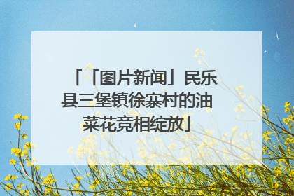「图片新闻」民乐县三堡镇徐寨村的油菜花竞相绽放