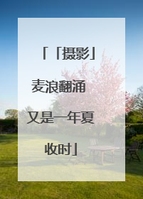 「摄影」麦浪翻涌 又是一年夏收时