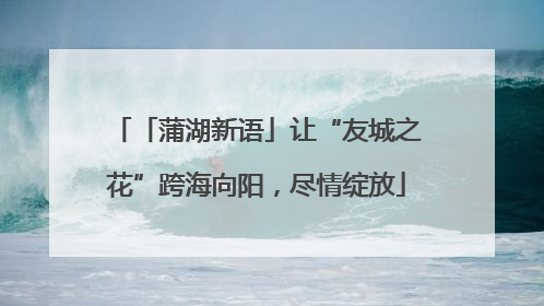 「蒲湖新语」让“友城之花”跨海向阳，尽情绽放