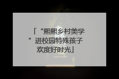 “熙熙乡村美学”进校园特殊孩子欢度好时光