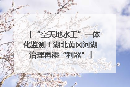 “空天地水工”一体化监测！湖北黄冈河湖治理再添“利器”
