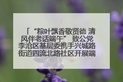 “粽叶飘香敬贤德 清风伴老话端午” 致公党李沧区基层委携手兴城路街道四流北路社区开展端午节主题活动