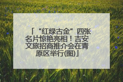 “红绿古金”四张名片惊艳亮相！吉安文旅招商推介会在青原区举行(图)