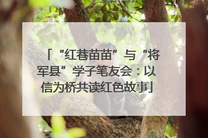 “红巷苗苗”与“将军县”学子笔友会：以信为桥共读红色故事