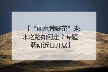 “丽水荒野茶”未来之路如何走？专题调研近日开展