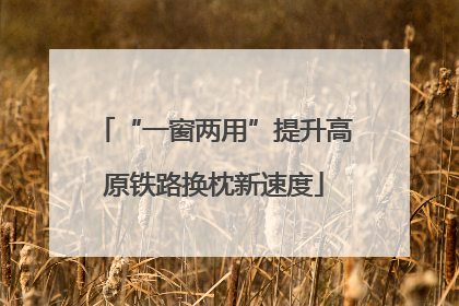 “一窗两用”提升高原铁路换枕新速度