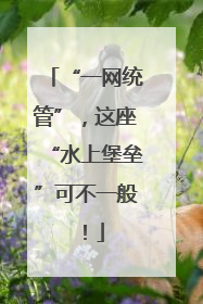 “一网统管”，这座“水上堡垒”可不一般！