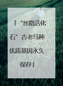 “丝路活化石”古老马种优质基因永久保存