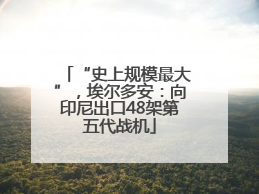 “史上规模最大”，埃尔多安：向印尼出口48架第五代战机
