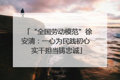“全国劳动模范”徐安清：一心为民践初心 实干担当铸忠诚