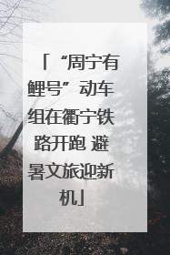 “周宁有鲤号”动车组在衢宁铁路开跑 避暑文旅迎新机