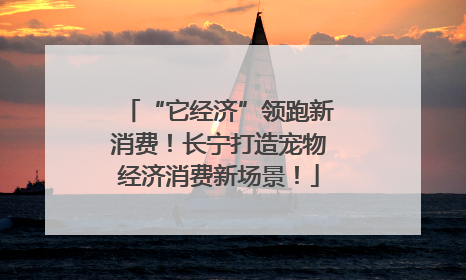 “它经济”领跑新消费！长宁打造宠物经济消费新场景！
