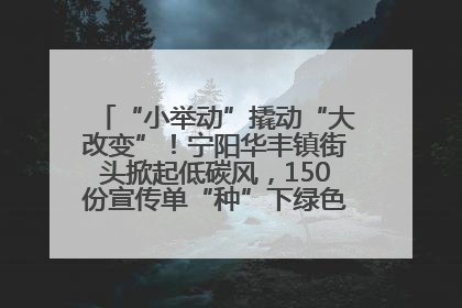 “小举动”撬动“大改变”！宁阳华丰镇街头掀起低碳风，150份宣传单“种”下绿色生活新种子