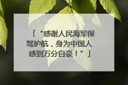 “感谢人民海军保驾护航，身为中国人感到万分自豪！”