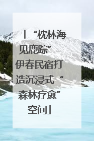 “枕林海见鹿踪” 伊春民宿打造沉浸式“森林疗愈”空间