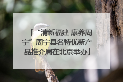“清新福建 康养周宁”周宁县名特优新产品推介周在北京举办