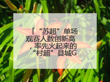 “苏超”单场观赛人数创新高，率先火起来的“村超”县城GDP已过百亿