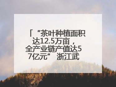 “茶叶种植面积达12.5万亩，全产业链产值达57亿元” 浙江武义茶产业全链发展“加速度”