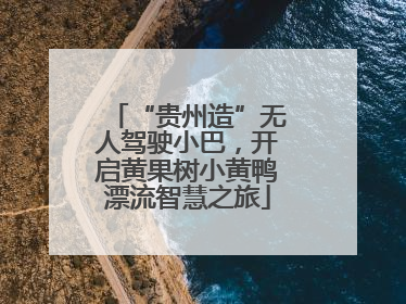 “贵州造”无人驾驶小巴，开启黄果树小黄鸭漂流智慧之旅