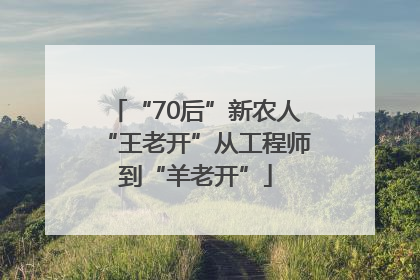 “70后”新农人“王老开”从工程师到“羊老开”