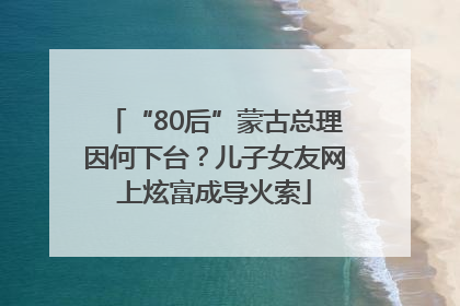 “80后”蒙古总理因何下台？儿子女友网上炫富成导火索