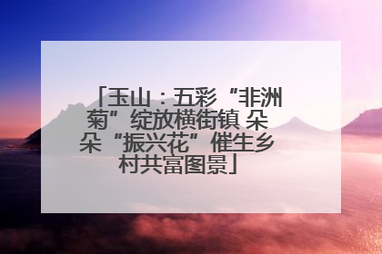 玉山：五彩“非洲菊”绽放横街镇 朵朵“振兴花”催生乡村共富图景