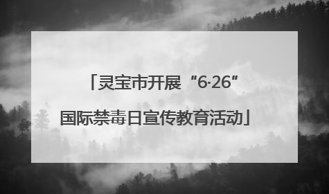 灵宝市开展“6·26”国际禁毒日宣传教育活动
