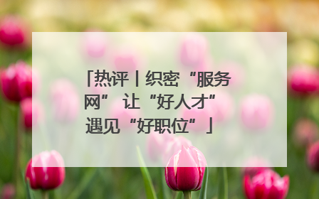 热评丨织密“服务网” 让“好人才”遇见“好职位”
