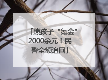 熊孩子“氪金”2000余元！民警全额追回