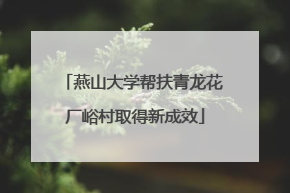 燕山大学帮扶青龙花厂峪村取得新成效
