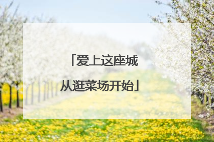 爱上这座城 从逛菜场开始