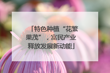 特色种植“花繁果茂”，富民产业释放发展新动能