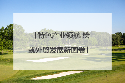 特色产业领航 绘就外贸发展新画卷