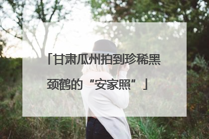 甘肃瓜州拍到珍稀黑颈鹤的“安家照”