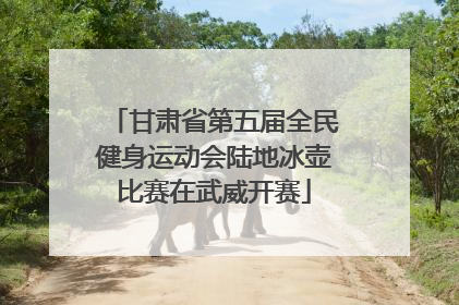 甘肃省第五届全民健身运动会陆地冰壶比赛在武威开赛