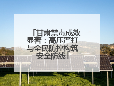 甘肃禁毒成效显著：高压严打与全民防控构筑安全防线