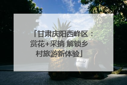 甘肃庆阳西峰区：赏花+采摘 解锁乡村旅游新体验