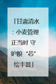 甘肃清水：小麦管理正当时 守护粮“芯”绘丰景