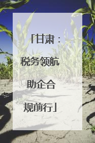 甘肃：税务领航 助企合规前行