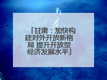 甘肃：加快构建对外开放新格局 提升开放型经济发展水平
