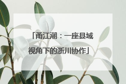 甬江潮：一座县域视角下的浙川协作