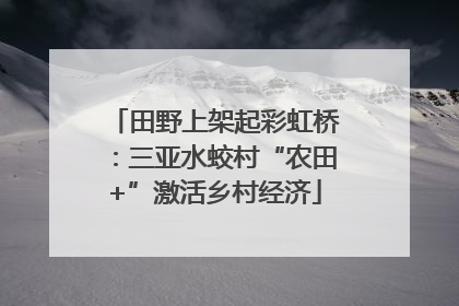 田野上架起彩虹桥：三亚水蛟村“农田+”激活乡村经济