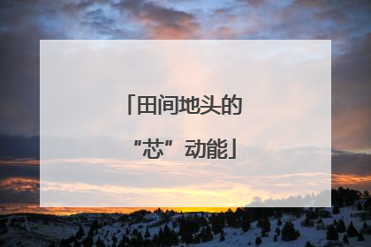 田间地头的“芯”动能