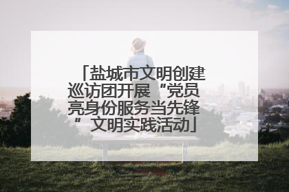 盐城市文明创建巡访团开展“党员亮身份服务当先锋”文明实践活动