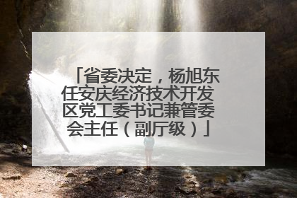 省委决定，杨旭东任安庆经济技术开发区党工委书记兼管委会主任（副厅级）