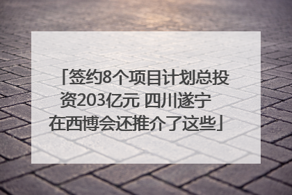 签约8个项目计划总投资203亿元 四川遂宁在西博会还推介了这些