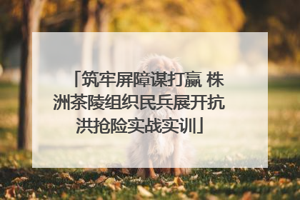 筑牢屏障谋打赢 株洲茶陵组织民兵展开抗洪抢险实战实训